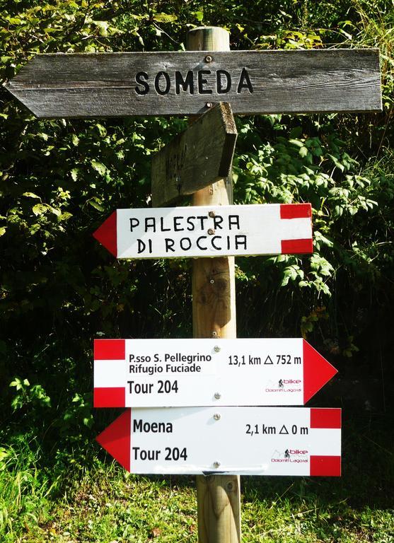 Hotel Costabella ปาสโซซานเพลเลกริโน ภายนอก รูปภาพ